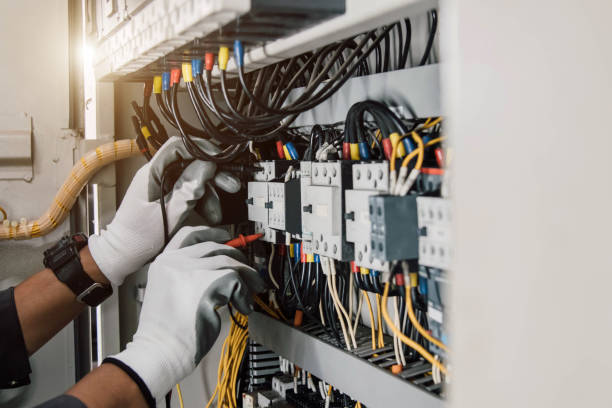 Best Electric Panel Repair  in Fkville, AL